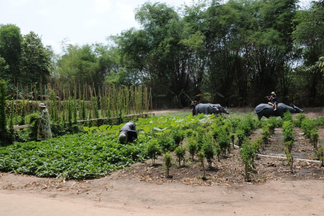 Cuộc sống trên mặt đất của người dân Củ Chi khi không phải chống giặc